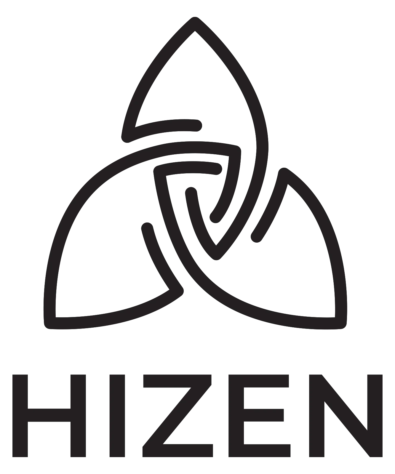 hizenvaporizer.com